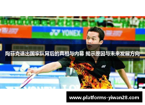 陶菲克退出国家队背后的真相与内幕 揭示原因与未来发展方向