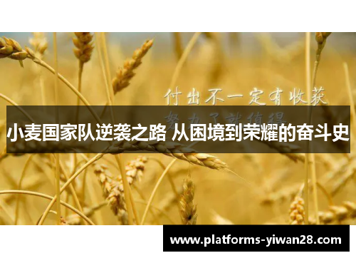小麦国家队逆袭之路 从困境到荣耀的奋斗史